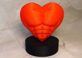 Rzeźba 3D „Serce Siły” – anatomiczne serce z motywem klatki piersiowej