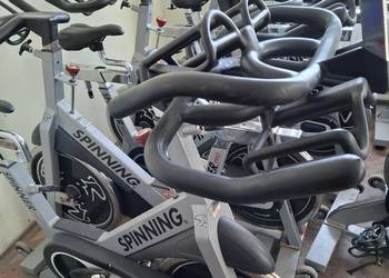 Rower spinningowy Star Trac Pro