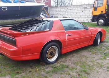 Zaluzja na tylna szybe do 3-generacji Camaro i Firebird Trans-Am.