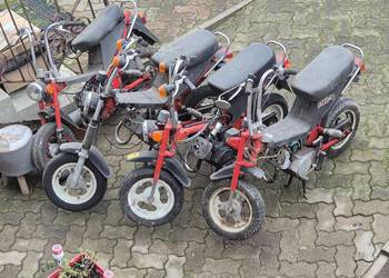 Motorynka stella zarejestrowana Motorynka stella zarejestrowana