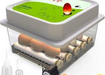 Inkubator do Jaj Automatyczny Wylęgarka Okköbi 12 dla Kur, Kaczek itp M1327