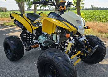 Quad Bashan 200/250cc Duża Rama 4+1R Ciecz Zarejestrowany !
