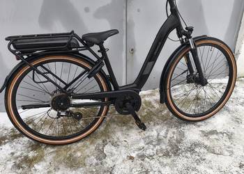 Pegasusa Solero E8 Plus