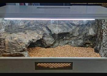 Terrarium specjalistyczne dla agamy brodatej żółwia greckiego