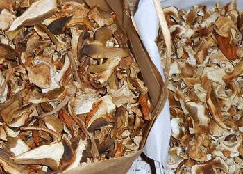 suszone grzyby prawdziwek