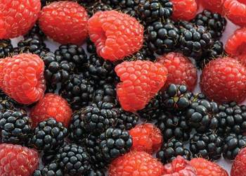 Wysokiej jakości borówki, truskawki, wiśnie