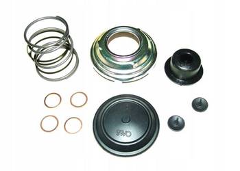 REPERATURKA MEMBRANA POMPY PALIWA FORD 1.8 TDCi 1096950