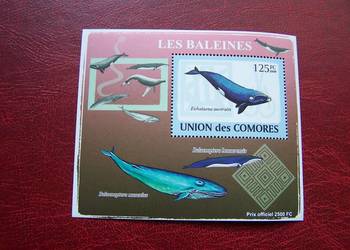 Komory 2009 MNH Fauna Wieloryb
