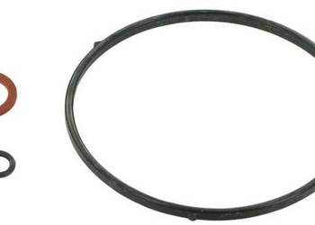 Zestaw uszczelniający 16010ZE0005