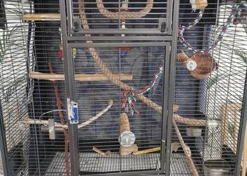 Klatka dla ptaków Montana Madeira Single