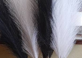 Biała i czarna trawa pampasowa 40 sztuk