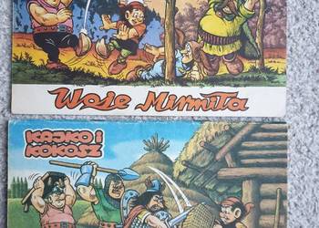 Kajko i Kokosz - Woje Mirmiła, Rozprawa z Dajmiechem