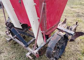 Sadzarka kubełkowa polska