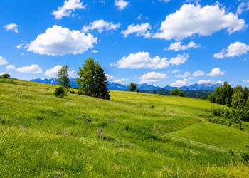 Działka widokowa w Rzepiskach 2274m2