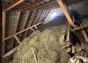 Sprzedam siano luzem