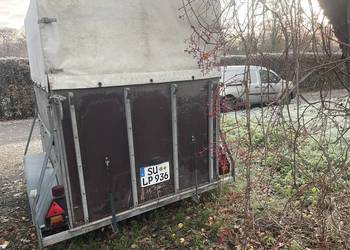 Przyczepa do przewozu zwierząt DMC 2000 kg