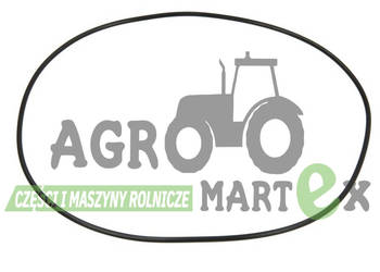 053957R1, VA028498, 6000103314, 487523, 549355 ORING AGCO