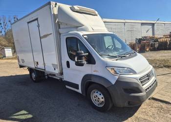 Ducato chłodnia Thermo king v300 max.