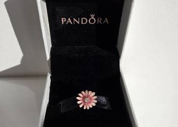 Charms różowa stokrotka różowe złoto