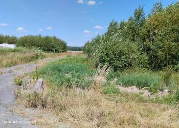 Działka 0,1 Ha Przybymierz, Gmina Nowogród Bobrzański, Lubuskie,