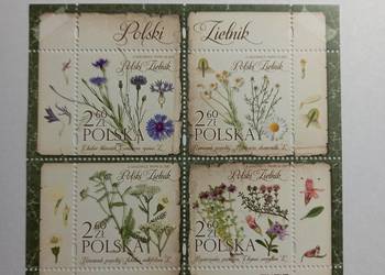 Bl 307  Polski zielnik – 2017r czysty