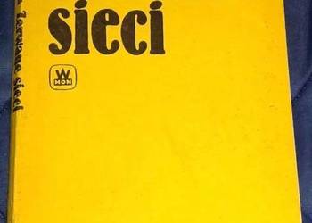 Zerwane sieci - Antoni Borkowski.