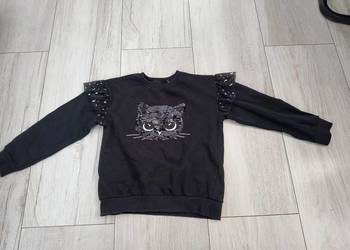 Bluza