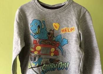 Bluza - Super stan. Rozm 116. 100% Bawełna. Okazja!