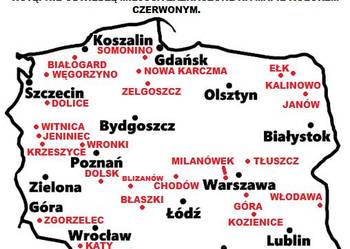 Sprzedam Bażanty Diamentowe (Bażant) z 2026r. WYSYŁAM - Samce i Samice