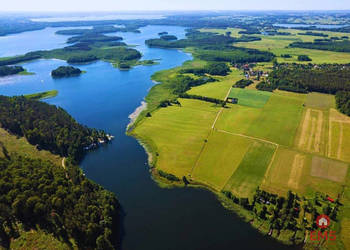 Działka 3100m2 Ogonki