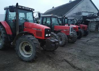 Massey Ferguson do wyboru