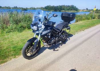 Triumph Tiger 800 XRT 2019r