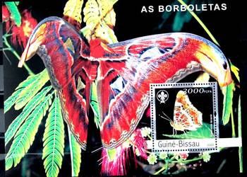 Gwinea Bissau 2003 r ( motyl)