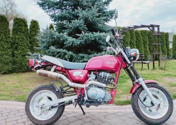 Motocykl Skyteam Cobra 125