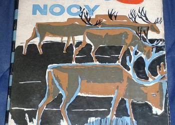 W krainie białych nocy - Władysław Kulicki