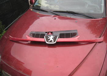 Grill Atrapa chłodnicy wlot powietrza Peugeot 206 bordowa EKQ