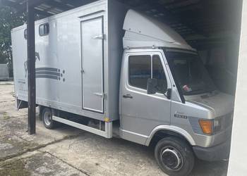 Mercedes T1, 410D, koniowoz, do przewozu koni, kat B