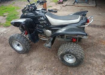 Quad adly 220s