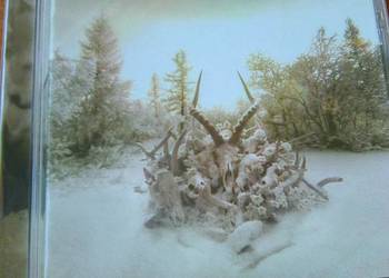 Soundgarden - King Animal (CD)