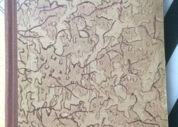 ( 3742 ) Nad Odrą I Bałtykiem