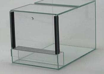 TRANSGLASS - TERRARIUM 25X25X25 - PRODUCENT