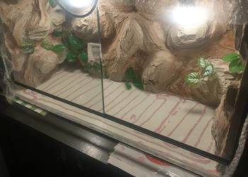 Terrarium, paludarium na każdą kieszeń, zapraszam.