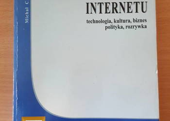 KSIĄŻKA Leksykon Internetu technologia, kultura, biznes ...