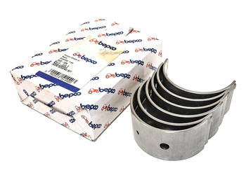 KOMPLET PANEWEK GŁÓWNYCH R2 0,50 DAVID BROWN K946345