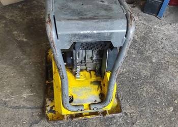 Zagęszczarka Wacker Neuson rok 2018