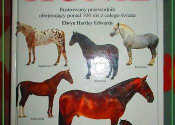 KONIE-Ilustrowany przewodnik/ Edwards / konie / rasy / hodowla