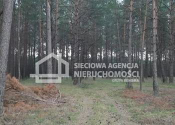Oferta sprzedaży gruntu 63500m2 Wdzydze Tucholskie