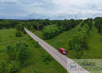 Działka 59500m2 Toporowice
