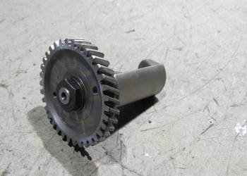 BETA 50 RR BETAMOTOR RR50 AM6 AM5 AM3 wałek balansujący