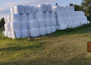 Siano, sianokiszonka Siano, sianokiszonka